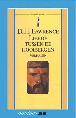 Liefde tussen de hooibergen - D.H. Lawrence - eBook (9789000331277)