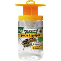 Wespenval Insectenval - thumbnail