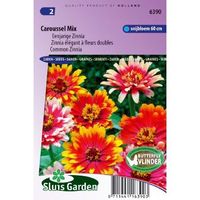 Zinnia Elegans zaden Caroussel mix - thumbnail