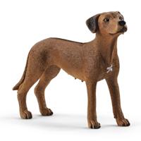 schleich Farm World Rhodesische ridgeback - 13895