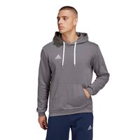 adidas Entrada 22 Sweat Hoodie Grijs Wit