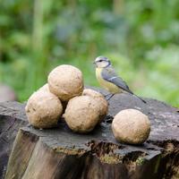 Vetbollen no mess met pinda - 6 stuks