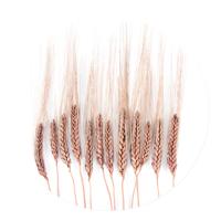 Muurcirkel Grain Pink White PVC 50 Geen