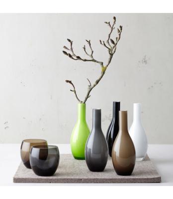 LEONARDO Beauty vaas Flesvormige vaas Zwart LEONARDO Beauty vaas Flesvormige vaas Zwart