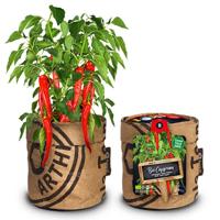 Seeds &amp; Keukentuintje bio chilipeper