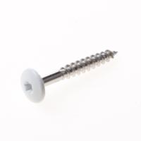 Kleurkopschroef rvs creme ral9001 4,8x38 t20