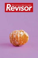 Revisor 14 - Ariel Dorfman - Paperback (9789023471905)