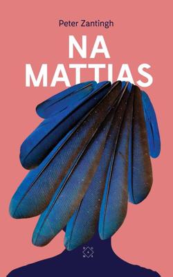 Na Mattias - Peter Zantingh - eBook (9789492478580)