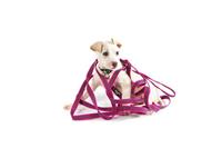 IDC Color & Gray Gegumeerde lijn, 20 mm x 10 m met lus, roze-grijs