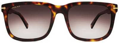 Polar zonnebril Gold 104 gepolariseerd Cat. 4 bruin/bruin