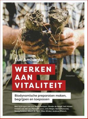 Werken aan vitaliteit - Paperback (9789060388730) Werken aan vitaliteit - Paperback (9789060388730)