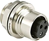 Bulgin PXM6012/03P/ST Rundsteckverbinder Stecker, Einbau Gesamtpolzahl: 2 + PE Serie (Rundsteckverbi