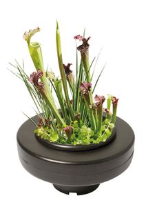 Floating Plant Basket rond 22 cm