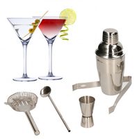 Set van 4x Martini cocktailglazen met complete 5-delige cocktailshaker set RVS