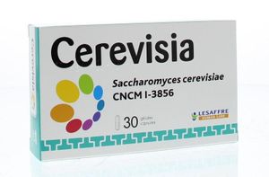 Cerevisia