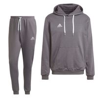 adidas Entrada 22 Sweat Hoodie Trainingspak Grijs Wit