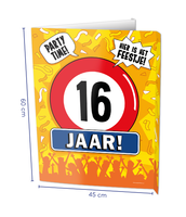 Raambord 16 Jaar Verjaardag (60x45cm) - thumbnail