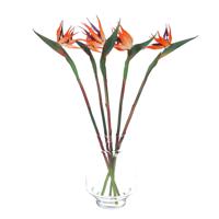 Kunstbloem Strelitzia/paradijsvogelplant? - 5x - 58 cm - losse steel - kunst zijdebloem