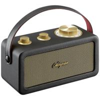 Sangean RA-101 Draagbare radio FM Bluetooth, AUX Oplaadbaar Zwart, Goud - thumbnail