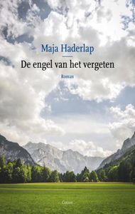 De engel van het vergeten - Maja Haderlap - ebook