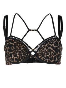 Marlies Dekkers soutien-gorge Vixen à imprimé léopard - Marron