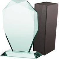 Viking Choice  Glazen trofee met koffer