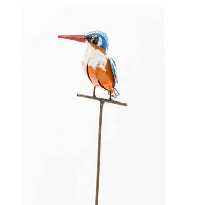 IJsvogel op Stok IJsvogel op Stok