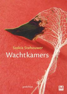 Wachtkamers - Saskia Stehouwer - ebook