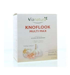 Knoflook multi