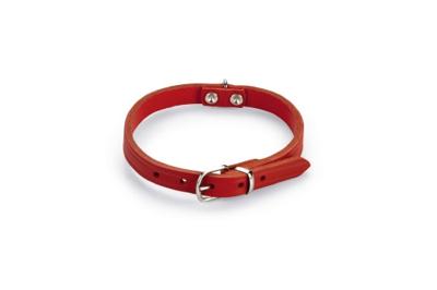 Beeztees - Halsband Hond - Leer - Rood - 27-33 cm x 12 mm