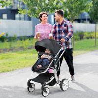 2 In 1 Kinderwagen voor Baby's 0-3 Jaar met Zonnekap Verstelbare Rugleuning Omkeerbare Zitting Wielen met Rem Draagtas Zwart