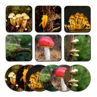 Onderzetters - Paddestoelen - thumbnail