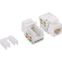 LogiLink NK4006 wandcontactdoos RJ-45 Wit - thumbnail