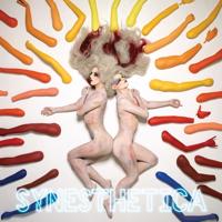 Synesthetica - LP (0644110030818)