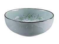 Mintgroene Kom - Green Cosmos - 25 x 8cm 2500ml