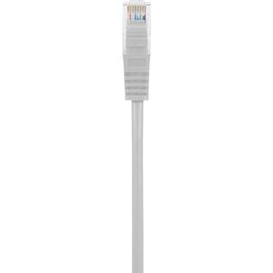 Renkforce RF-5047502 RJ45 Netwerkkabel, patchkabel CAT 5e U/UTP 5.00 m Grijs Snagless 1 stuk(s)