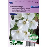 Lavatera Trimestris zaden White Regis - thumbnail