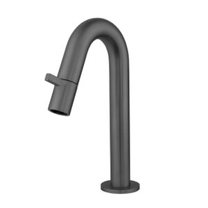 Best Design Moya Dimora toiletkraan keramisch binnenwerk 21cm Gunmetal 4009400