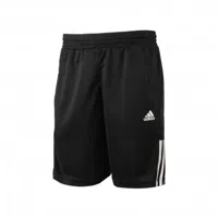 Sjeng Sports Champ tennis short heren