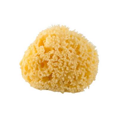 Rotho Mediterane Natuur Spons