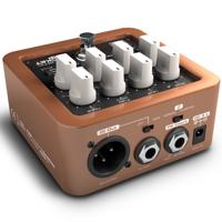 Palmer Pocket Amp Acoustic preamp en DI-box voor snaarinstrument - thumbnail