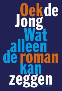 Wat alleen de roman kan zeggen - Oek de Jong - ebook