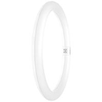 OSRAM LED-Ring Energielabel: E (A - G) G10q 18.3 W = 32 W Neutraalwit 1 stuk(s) (Ø x l) 300 mm x 300 mm - thumbnail