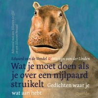 Wat je moet doen als je over een nijlpaard struikelt