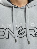 Dangerous DNGRS / Hoody Wintersweat in grijs