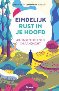 Eindelijk rust in je hoofd (Paperback)