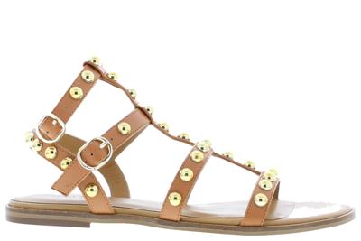 Toral 12304 cuero Cognac 