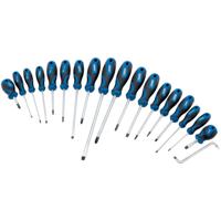 Draper Tools Draper Tools Schroevendraaier set 19-dlg blauw 09548 - thumbnail