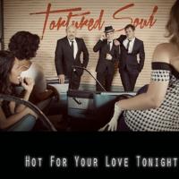Hot For Your Love Tonight - CD (5034093416313)