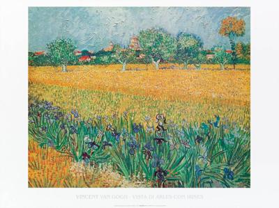 Vista di Arles con irises